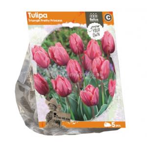 Baltus Tulipa Triumph Pretty Princess tulpen bloembollen per 5 stuks